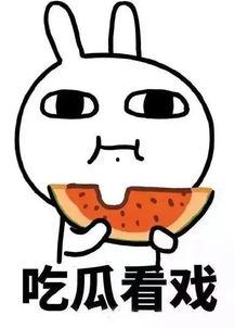 娱乐吃瓜酱学渣,揭秘娱乐圈背后的学渣生活